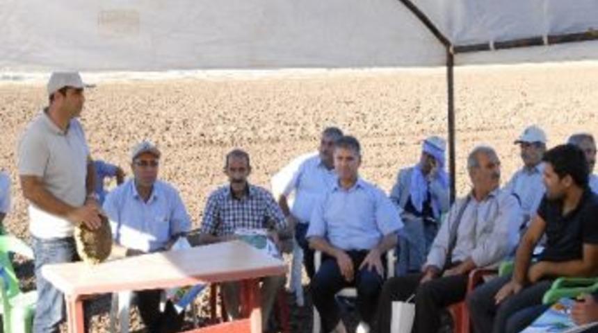 &Ccedil;ift&ccedil;ilere Tarla Tanıtım G&uuml;nleri