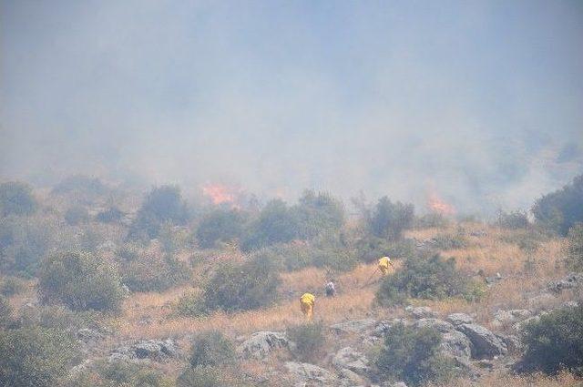 Kozan'da Yangın