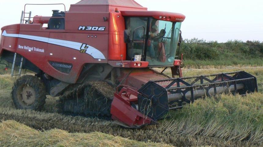 Edirne&rsquo;de &Ccedil;eltik Hasadı Başladı