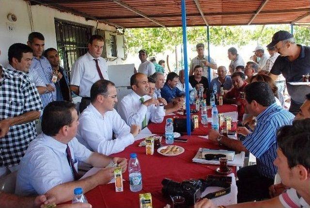 Didim’de Zeytin Sineğiyle Organik Mücadele Ediliyor 1