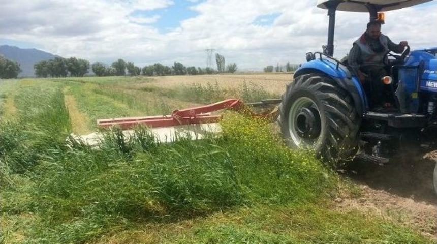 İkinci &Uuml;r&uuml;n Yem Bitkisinde Başarıya Ulaşıldı