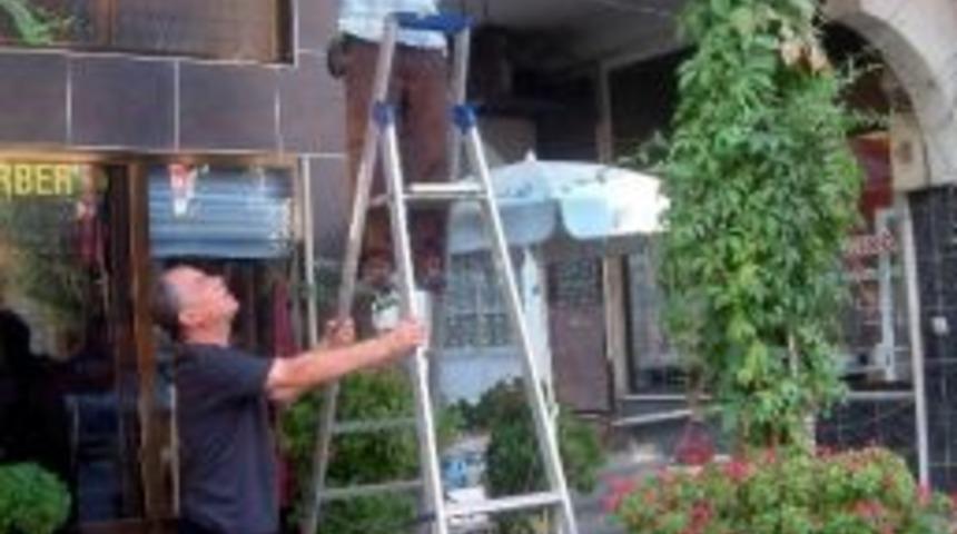 Burhaniyeli Esnafların Yeşil Tutkusu
