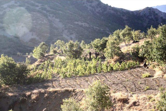 Elazığ da Uyuşturucu Tacirlerine Şafak Operasyonu 1