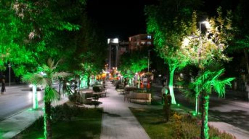 Malatya&rsquo;da Ağa&ccedil;lar Aydınlandı