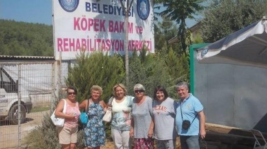 Haytap Barınağa Hayran Kaldı
