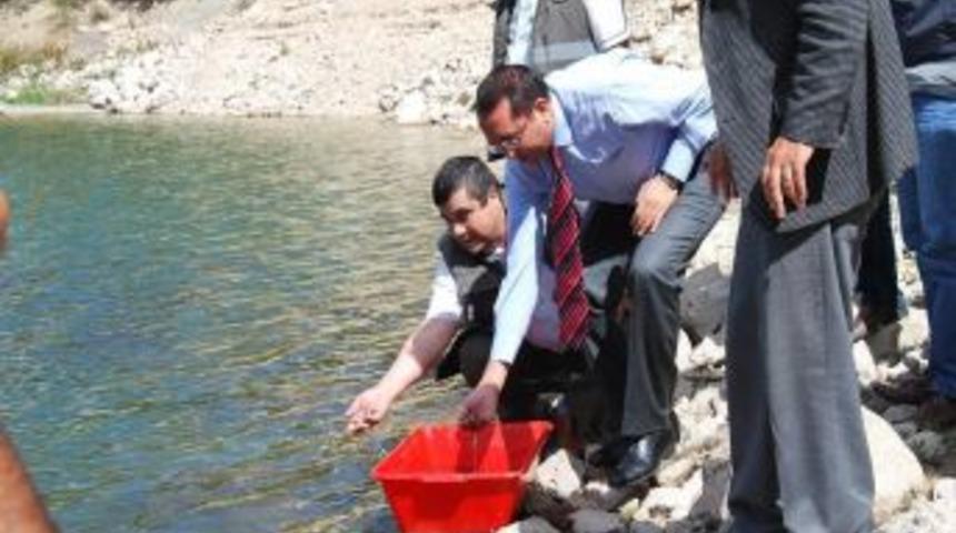 Zinav G&ouml;l&uuml;'ne 30 Bin Balık Bırakıldı