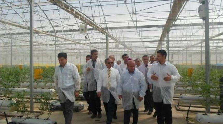 Tarıma Devlet Desteği Arttı