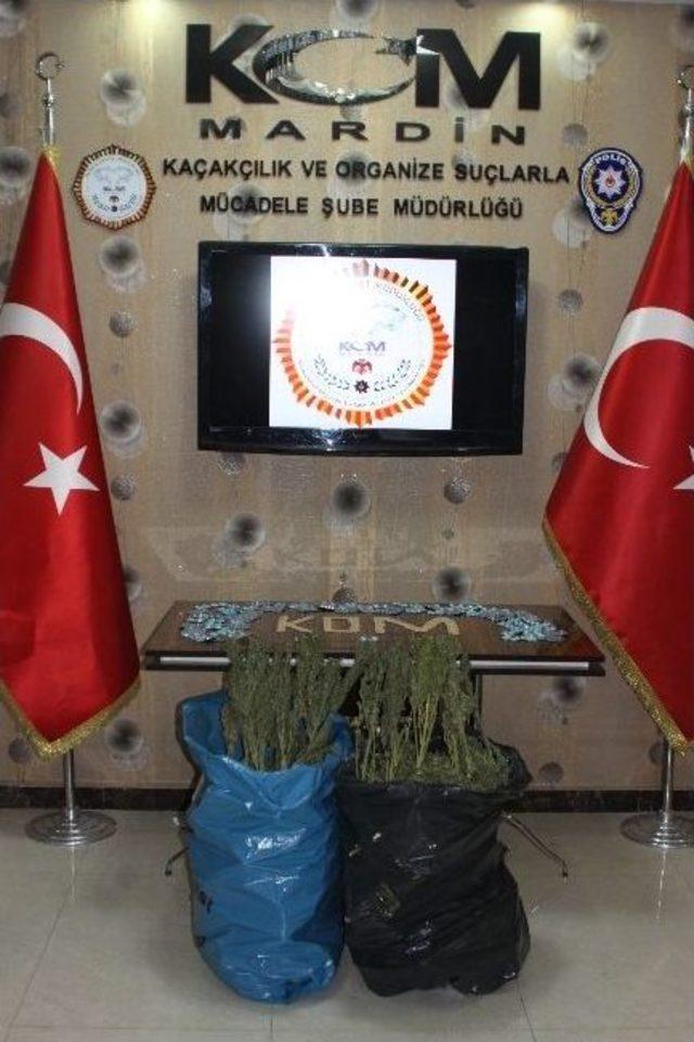 Mardin'de 44 Kilogram Esrar Ve 25 Bin Paket Kaçak Sigara Ele Geçirildi