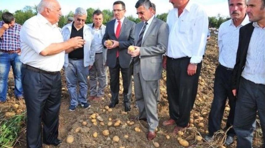 Kastamonu&rsquo;da Patates Tarla G&uuml;n&uuml; D&uuml;zenlendi