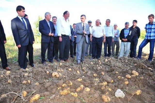 Kastamonu’da Patates Tarla Günü Düzenlendi