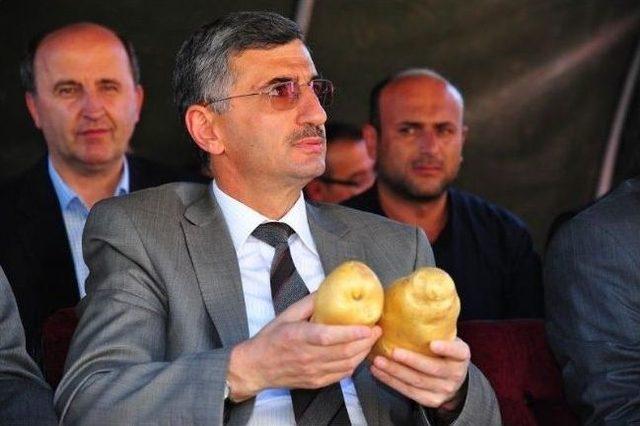 Kastamonu’da Patates Tarla Günü Düzenlendi