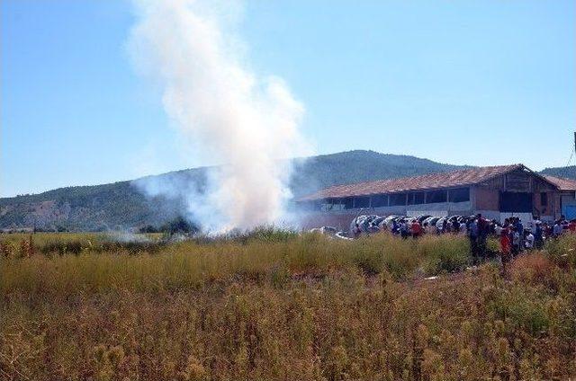 Osmancık Belediyesi Deposunda Yangın