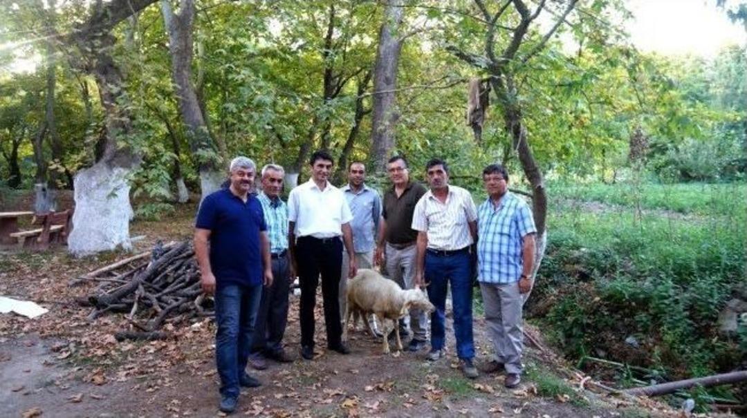 Alemşahlı, B&uuml;y&uuml;kşehir Nimetlerinden Faydalanıyor