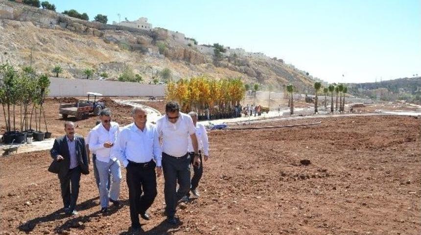 Haleplibah&ccedil;e Parkı&rsquo;nda Ağa&ccedil;landırma &Ccedil;alışmaları Başladı