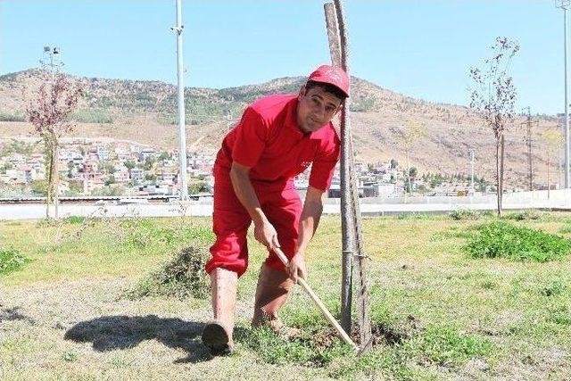 Bayraklı Belediyesi, Hemşehrisine Sahip Çıktı