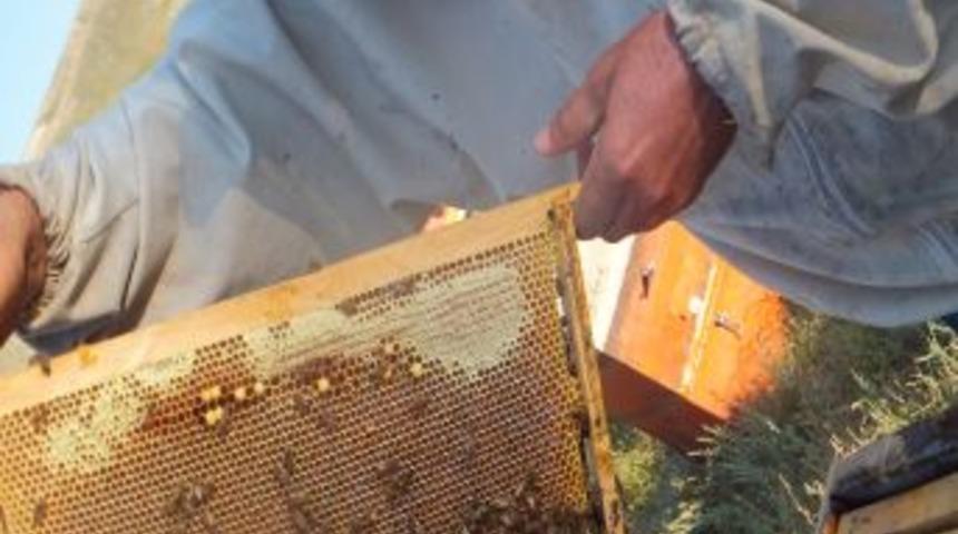 Bal &Uuml;reticileri: Şeker Zammı Maliyetleri Artırdı