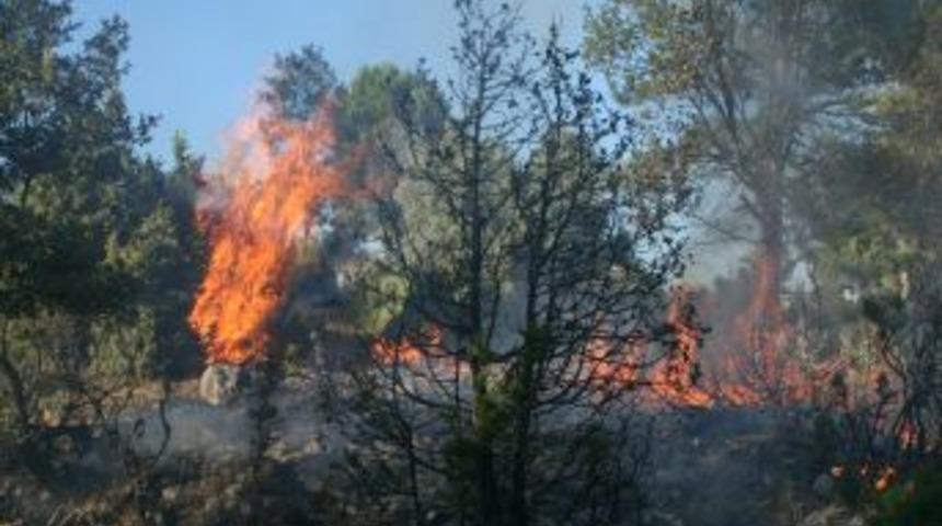 Taraklı&rsquo;daki Yangında 1 Hektar Ormanlık Alan Zarar G&ouml;rd&uuml;