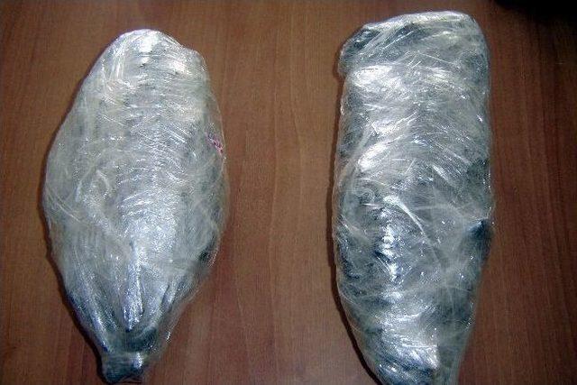 Narkotik K&ouml;pekleri Otob&uuml;ste 2 Kilogram Esrar Yakaladı 1