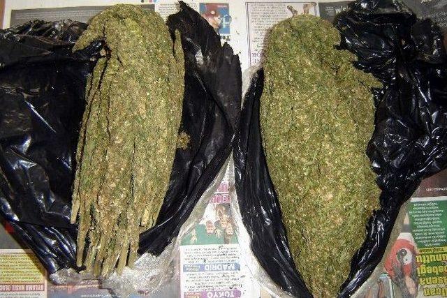 Narkotik K&ouml;pekleri Otob&uuml;ste 2 Kilogram Esrar Yakaladı 2