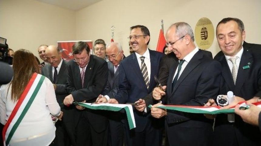 Kardeşlik Gelişiyor