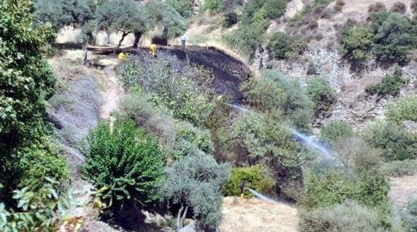 Aydın&rsquo;da Arazi Yangını