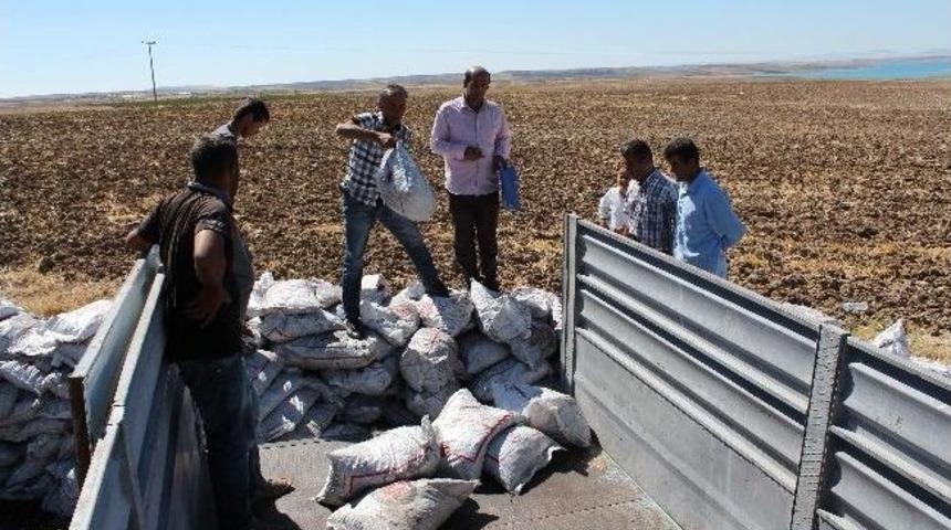 Samsat&rsquo;ta K&ouml;m&uuml;r Dağıtımı Yapıldı