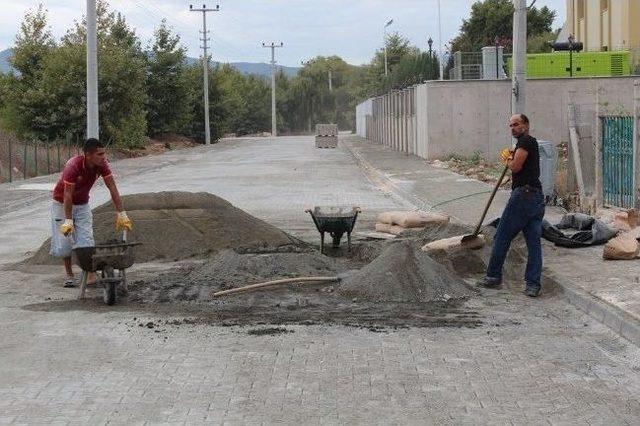 Yalova Belediyesi Rekor Kırdı 1