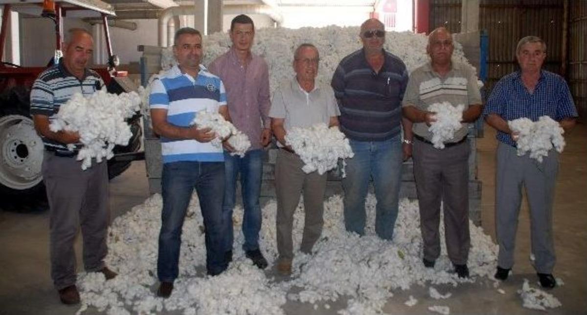 Sezonun İlk Pamuğu Tariş'e Teslim Edildi