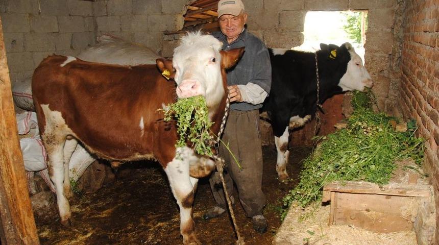 Alo K&uuml;pe Hattı'na Bildirimler Bir Hafta I&ccedil;inde Yapılacak