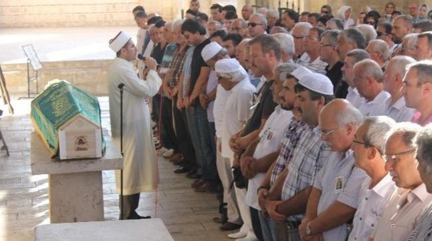 Karag&ouml;z'e Veda