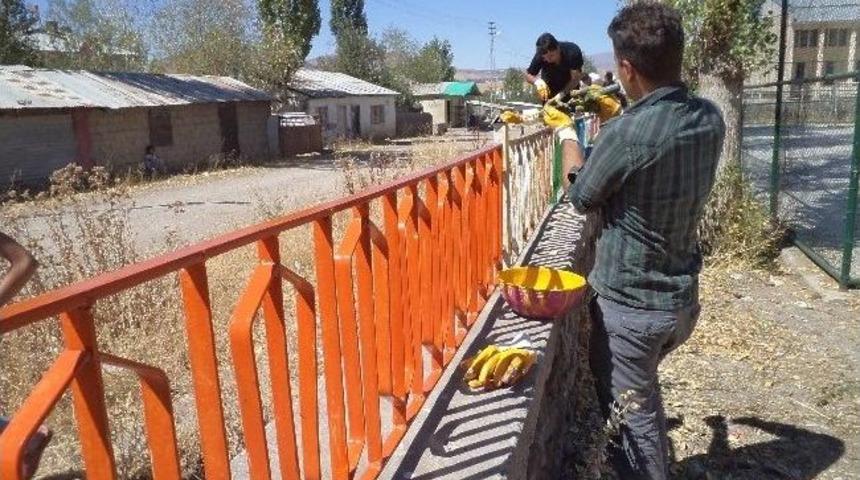&Ouml;ğretmenlerden Boya Badana &Ccedil;alışması