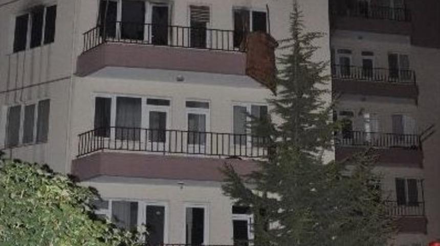 Yangından Ka&ccedil;arken Akvaryumunu Almayı Unutmadı