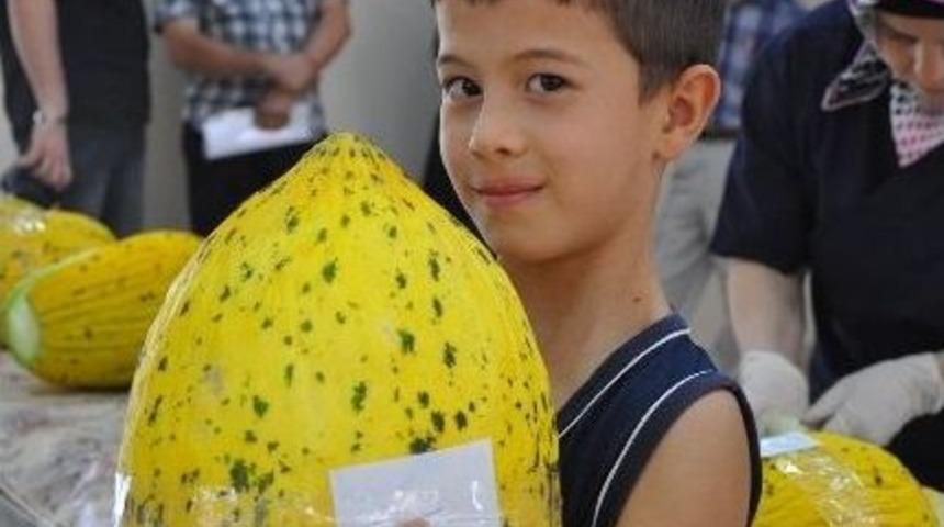 Meşhur Kırkağa&ccedil; Kavunları Yarıştı