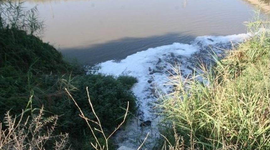 B&uuml;y&uuml;k Menderes Nehri Halen Kirletiliyor