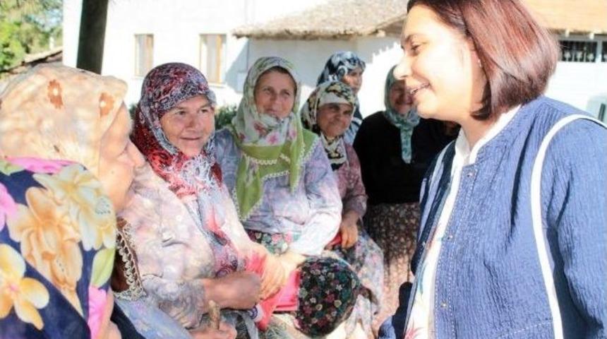 Milletvekili &Ccedil;elik K&ouml;yleri Gezdi