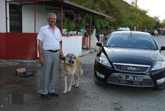 Başkan Kendini Cezayirli Hasan Paşa’ya Benzetti