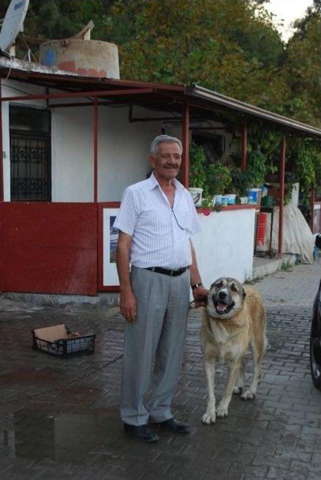 Başkan Kendini Cezayirli Hasan Paşa’ya Benzetti