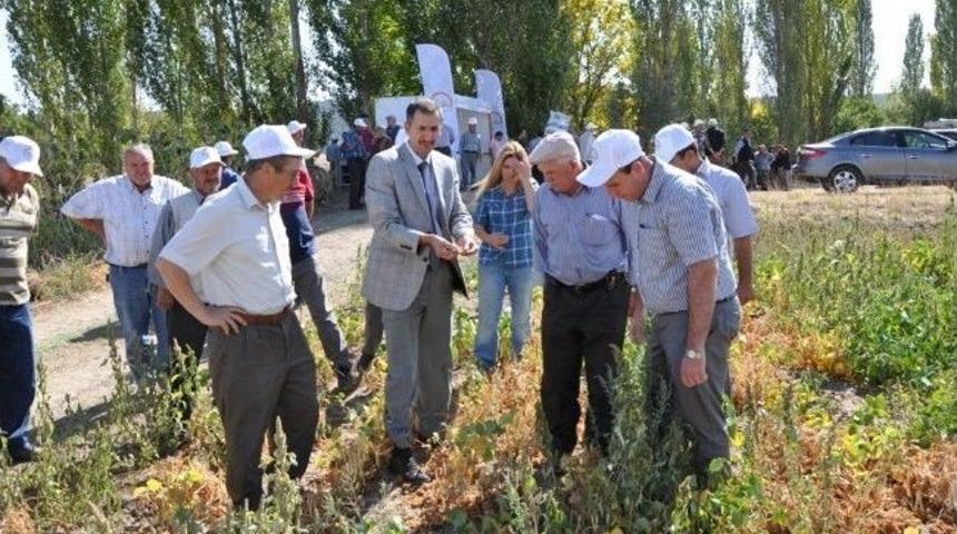 Kuru Fasulye İ&ccedil;in &lsquo;tarla G&uuml;n&uuml;&rsquo;