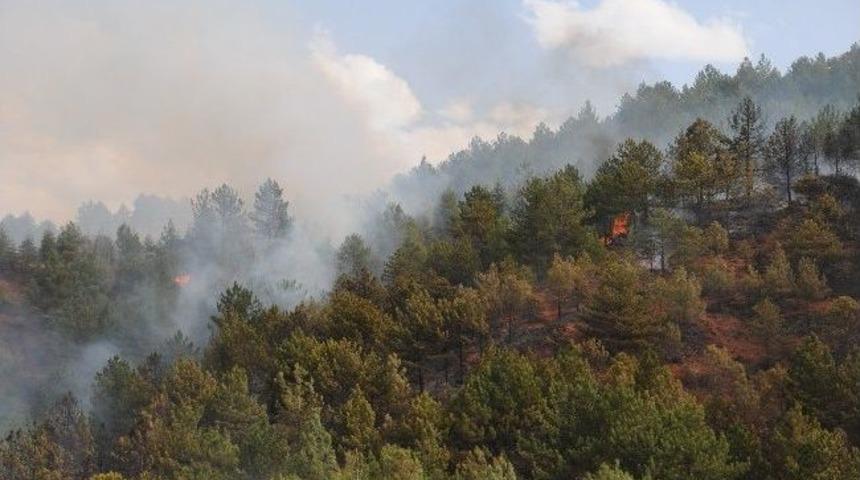 Tokat&rsquo;ta Orman Yangını