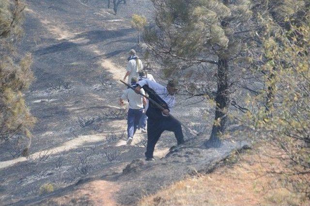 Tokat&rsquo;ta Orman Yangını 1