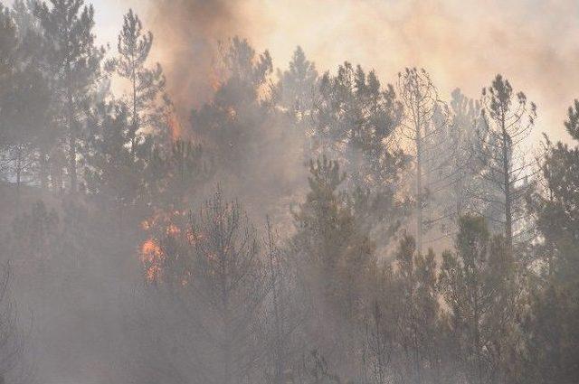 Tokat&rsquo;ta Orman Yangını 3