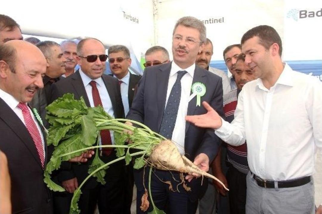 Pancar Festivali&rsquo;nin 2. Si Şarkışla&rsquo;da Yapıldı