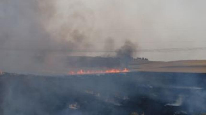 Anız Yangınları Doğayı Ve &Ccedil;evreyi Tehdit Ediyor