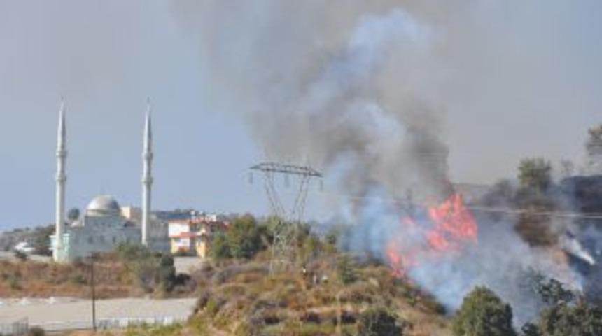 Alanya'da &Ccedil;ıkan Yangında Seralar Ve Meyve Ağa&ccedil;ları Yandı