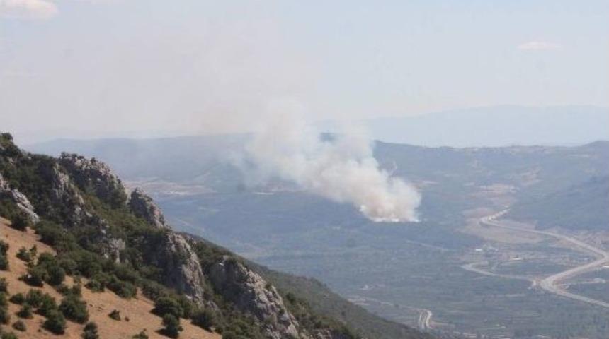 Bursa'da Orman Yangını