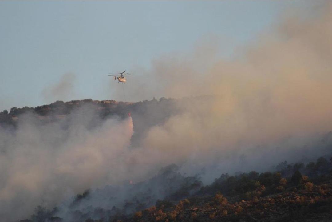 Konya'da Orman Yangını