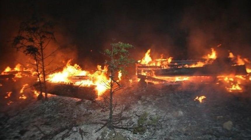 Ka&ccedil;ak&ccedil;ılar Kestikleri Ağa&ccedil;ları Yaktı