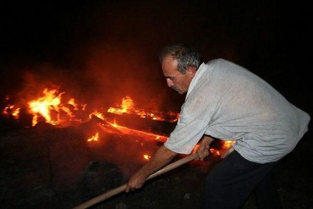 Kaçakçılar Kestikleri Ağaçları Yaktı