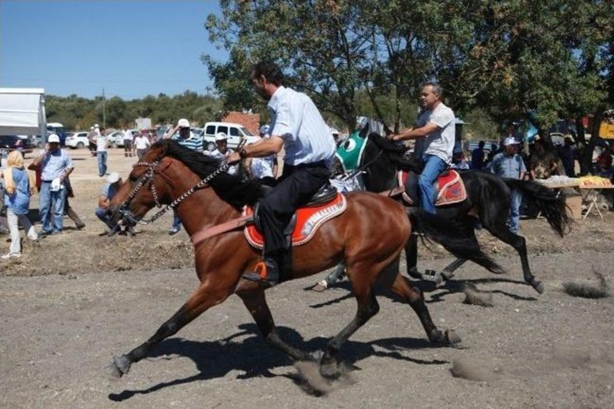 Ak&ccedil;alar&rsquo;da Festival Coşkusu