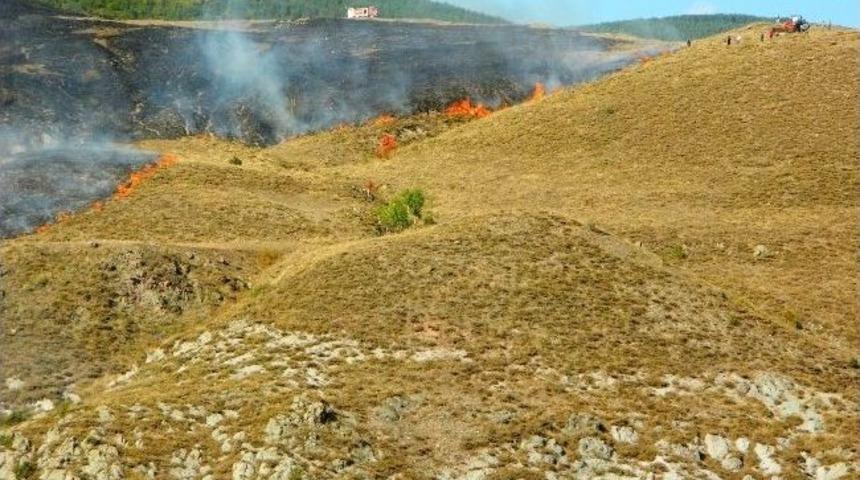 Posof'ta Ot Yangını